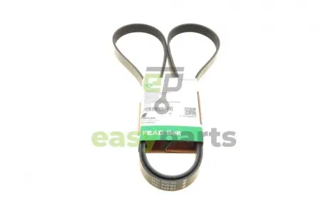 Ремінь генератора Ford Focus 1.4/1.6 98-05/Toyota Rav4 1.8 00-05/Daewoo Nubira 1.8/2.0 99- INA FB6PK1893
