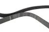 Ремінь генератора Audi A8 3.0i 03-06/Lexus GS/IS 3.0/3.5 00-11/Ford Fiesta 1.25-1.6 94-02 INA FB6PK1930 (фото 2)