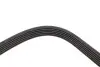 Ремінь генератора Audi A8 3.0i 03-06/Lexus GS/IS 3.0/3.5 00-11/Ford Fiesta 1.25-1.6 94-02 INA FB6PK1930 (фото 3)