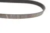 Ремінь генератора Land Rover Discovery/Range Rover 2.0/3.0 D 12- INA FB6PK1935 (фото 3)