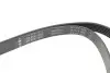 Ремінь генератора Audi A4/A6 1.6-2.0 00-08 (6PK1570) INA FB6PK1570 (фото 2)