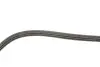 Ремінь генератора Hyundai Elantra/ Matrix 1.8 01-10/ Nissan Micra 1.0-1.4 02-10/ Note 1.4 06-12 INA FB3PK670 (фото 3)