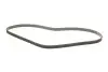Ремінь генератора Honda CR-V 2.0 16V 4WD 95-02/Subaru Forester/Impreza/Legacy 1.5-2.5 92-09 INA FB4PK895 (фото 2)