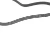 Фото 3 - ремінь генератора Toyota Yaris 99-14/Corolla 92-95/Mazda Premacy 99-05/626 91-02/323 98-04 INA FB4PK920 Ремінь генератора Toyota Yaris 99-14/Corolla 92-95/Mazda Premacy 99-05/626 91-02/323 98-04 INA FB4PK920 (фото 3)