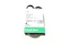 Ремінь генератора Renault Kangoo/Nissan Kubistar 1.2 16V 97- (4PK928) FB4PK928