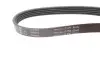 Ремень генератора BMW 3 (E46)/5 (E39)/7 (E38) 95-05 (5PK865) (M52/M54) INA FB5PK865 (фото 2)