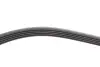 Ремень генератора BMW 3 (E46)/5 (E39)/7 (E38) 95-05 (5PK865) (M52/M54) INA FB5PK865 (фото 3)