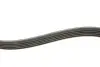 Ремінь генератора Fiat Scudo 2.0 JTD 99-06 (5PK970) INA FB5PK970 (фото 3)