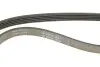 Ремінь генератора Fiat Scudo 2.0 JTD 99-06 (5PK970) INA FB5PK970 (фото 4)