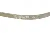 Ремінь генератора BMW 5 (E34)/7 (E38)/Citroen BX/Daewoo Lanos/Nexia 85-01(5PK975) INA FB5PK975 (фото 3)
