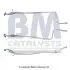 Труба выхлопного газа BM CATALYSTS BM50243 (фото 2)