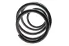 Пружина (передня) Nissan Juke 1.5dCi/1.6DIG-T 10-19 (SUV) LESJOFORS 4062081 (фото 4)