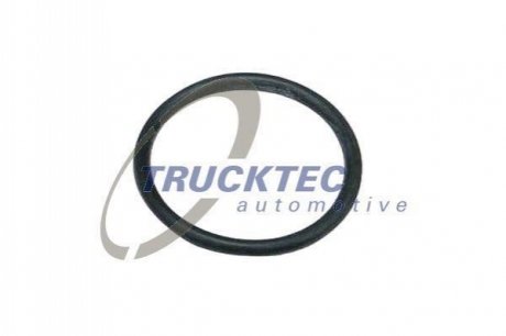 Уплотнительное кольцо TRUCKTEC 08.10.093 (фото 1)