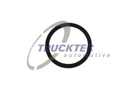 Ущільнювальне кільце TRUCKTEC 08.10.093