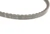 Ремінь генератора Audi 80 1.3-1.8 78-87/BMW 3 (E30)/5 (E34) 2.0-2.5 87-95/VW Passat 1.6-1.8 80-88 INA FB13X825 (фото 2)
