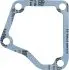 Прокладка термостата LEMA 2475600 (фото 1)