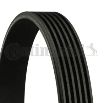 Поліклиновий ремінь Contitech 6PK794 ELAST