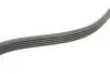 Ремінь генератора VW Beetle/Jetta 2.5 10- Contitech 5PK934 (фото 3)