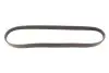 Ремінь генератора Nissan Almera 2.0 00-03/Primera 2.0 16V 91-00 Gates 6PK1029EST (фото 1)