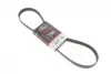 Ремінь генератора Citroen Berlingo/Peugeot 306/405/508/Partner I 1.8/2.0DH 10-18 Gates 6PK1080EST (фото 1)