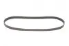 Ремінь генератора Citroen Berlingo/Peugeot 306/405/508/Partner I 1.8/2.0DH 10-18 Gates 6PK1080EST (фото 5)