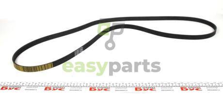 Ремінь генератора VW T4 2.5TDI ACV (ALT,PS,AC) (6PK2211) MERCEDES-BENZ 0029933296