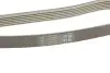 Ремінь генератора BMW 5 (E60) 2.5/3.0D 04-10 (M57) DAYCO 6PK2160S (фото 4)