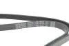 Ремінь генератора Hyundai Tucson 15-/i20/i30/i40/Accent/Kia Ceed/Rio 05-/Sportage 10- (5PK1810) DAYCO 5PK1810S (фото 4)