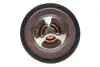 Термостат Mitsubishi Outlander 2.2 DI-D 06-12/Ford Fiesta 1.4 TDCi 01-08/Kia Sorento 2.5 CRDi 06-11 (82°C) MOTORAD 559-82K (фото 1)