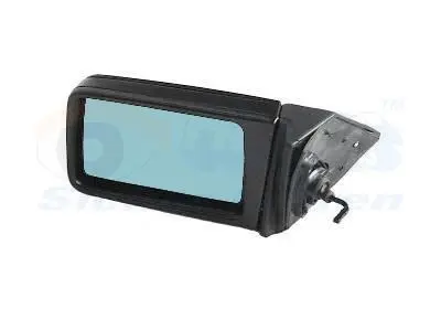 Зовнішнє дзеркало Van Wezel 3024803