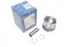 Поршень Chevrolet Aveo/Opel Corsa D/Meriva B 1.3D 06- (69.6mm/STD) KOLBENSCHMIDT 41287600 (фото 1)