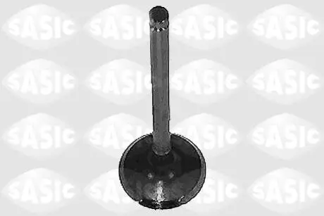 Впускний клапан SASIC 4000915
