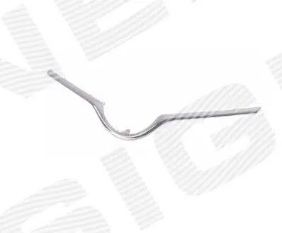 Молдинг решітки Signeda PTY07612MA