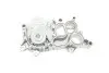 Помпа води Audi A3 1.4TFSI 12-14/Seat Ibiza IV/V/Skoda Fabia III/VW Polo 1.0/1.0TSI 14- HEPU P674 (фото 2)