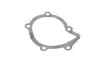 Помпа води Peugeot 205/305/306/309/405 1.7D/1.8TD/XDT/1.9D/TD/SRDT/STD 86-02 HEPU P815 (фото 8)