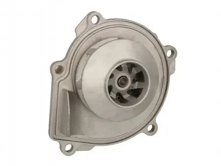 Водяной насос THERMOTEC D1Y077TT