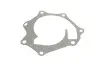 Помпа води Nissan Cabstar E 2.7/3.0D 98-06/Trade 3.0D/TDiC 96-98/Urvan 2.5D 89-97 (R/B) (6 лоп) GRAF PA995 (фото 4)