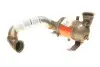 Каталізатор вихлопної системи Citroen Jumpy/Peugeot Expert 2.0HDi 07- BM CATALYSTS BM80439H (фото 13)