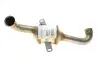 Каталізатор вихлопної системи Citroen Jumpy/Peugeot Expert 2.0HDi 07-16 BM CATALYSTS BM80462H (фото 3)