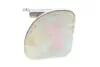 Петля дверей (передніх/нижня/L) Renault Megane 02-08 RENAULT / DACIA 804218874R (фото 2)