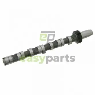 FEBI VW вал розподільчий Audi A4/6/8,Passat,Skoda SuperB I 2.5TDI FEBI BILSTEIN 26976 (фото 1)