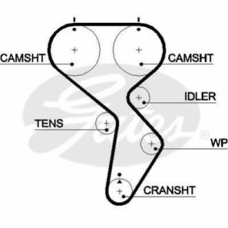 Ремінь ГРМ Gates 5488XS (фото 1)