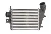 Інтеркулєр THERMOTEC DAD001TT (фото 1)