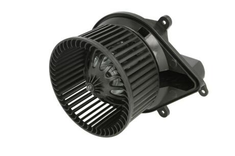 Воздуходувка THERMOTEC DDR009TT