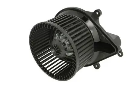 Воздуходувка THERMOTEC DDR009TT
