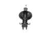 FIAT Амортизатор газ.передн. Bravo/Brava 95- (333750) KAVO PARTS SSA-10087 (фото 1)