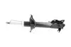NISSAN Амортизатор газ.передн.прав.Almera 95- 253mm KAVO PARTS SSA-6505 (фото 4)