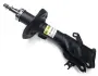 Фото 1 - амортизатор передній Honda Civic IX 12- Пр. (газ.) RAISO RS339279 Амортизатор передній Honda Civic IX 12- Пр. (газ.) RAISO RS339279 (фото 1)