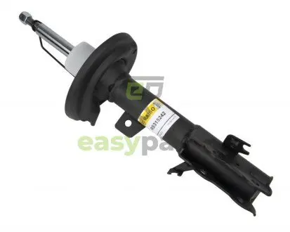 Амортизатор передній Fiesta VI 08- Пр. RAISO RS315242