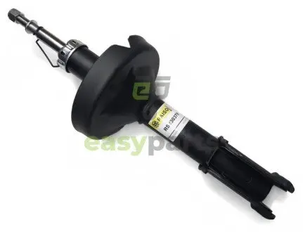 Амортизатор передній Kangoo 98-08 RAISO RS230379